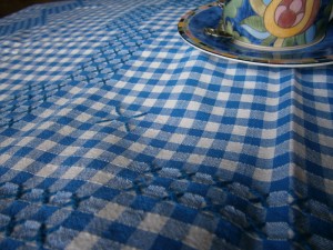 blue gingham tablecloth