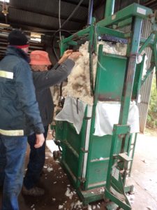 sheep shearing wool bale press