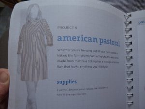 Built by Wendy Sewn by Lizzy other dresses American Pastoral