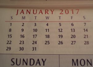 2016 The Year That Was