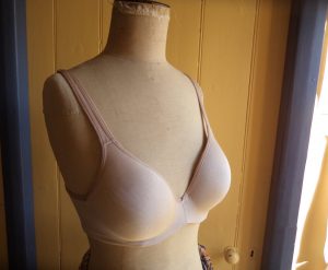 That old dressmakers model Part 3 Got it Covered model padded out