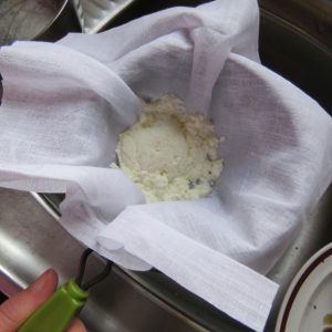 casein buttons draining