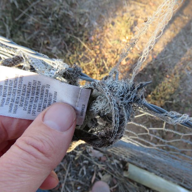 The remains of a cotton t-shirt which had synthetic thread and label.