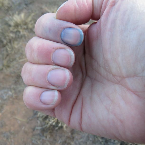 My finger dipped in the indigo vat.