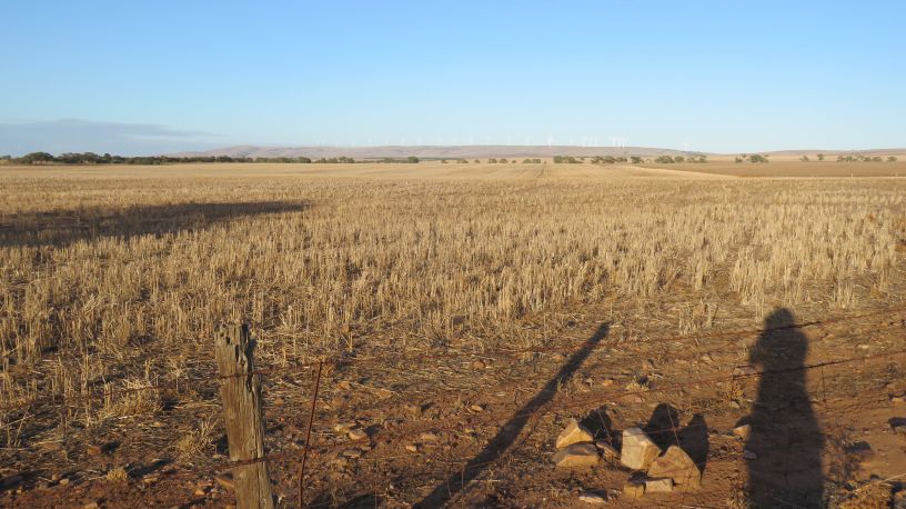 Hummocks sheep station, looking towards the Hummocks range.